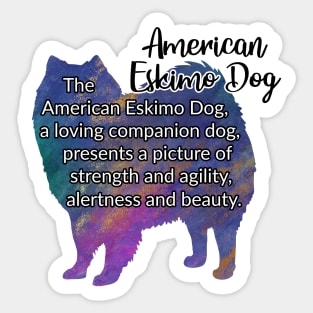 American Eskimo Dog Sticker